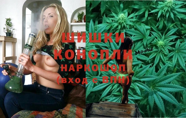 Альфа ПВП Алзамай
